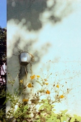 「afternoon」 (film)