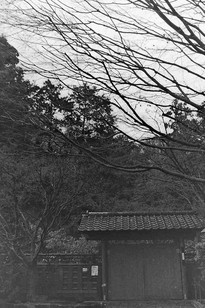 「12/22 久良岐能舞台 庭」 (film)