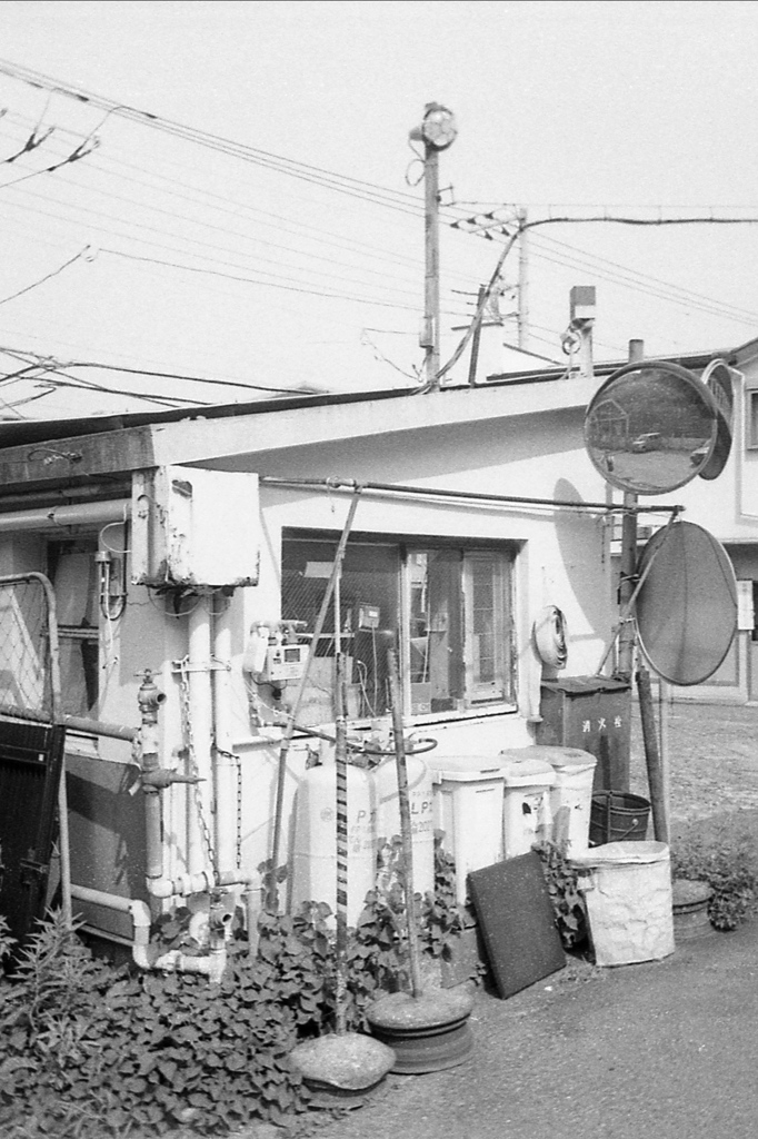 「LIFE」 (film)