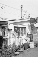 「LIFE」 (film)