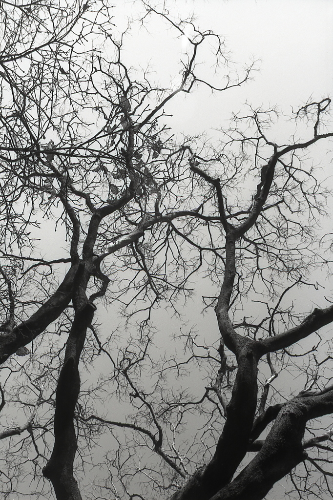 「冬の空」 (film:HR20)