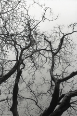 「冬の空」 (film:HR20)