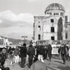 「2023_1_5 ドーム」 (film)