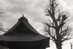 「弘明寺」 (film)