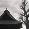 「弘明寺」 (film)