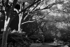 「梅雨の晴れ間に」 (film)