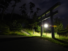 夜の神社