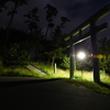 夜の神社