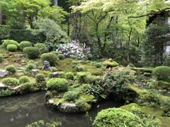 三千院の庭