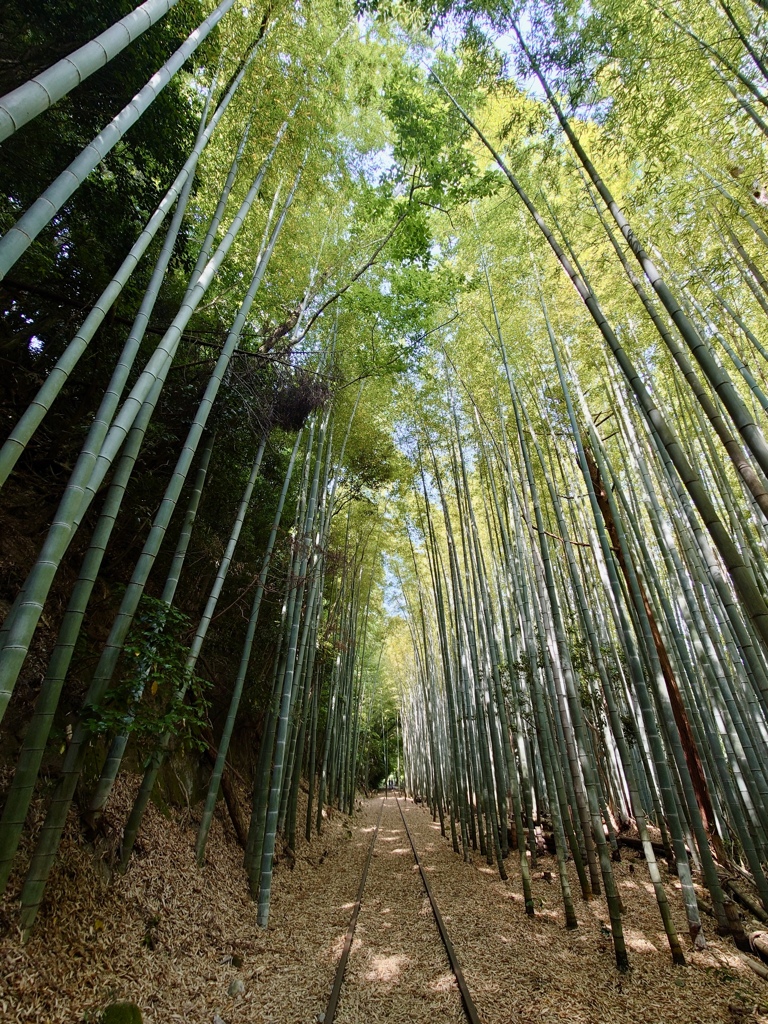 旧国鉄倉吉線廃線跡