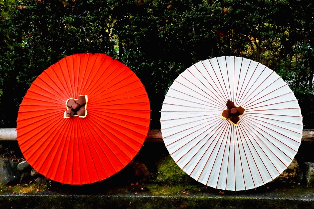 大覚寺、祇王寺12