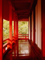 大覚寺、祇王寺6