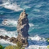 隠岐の島