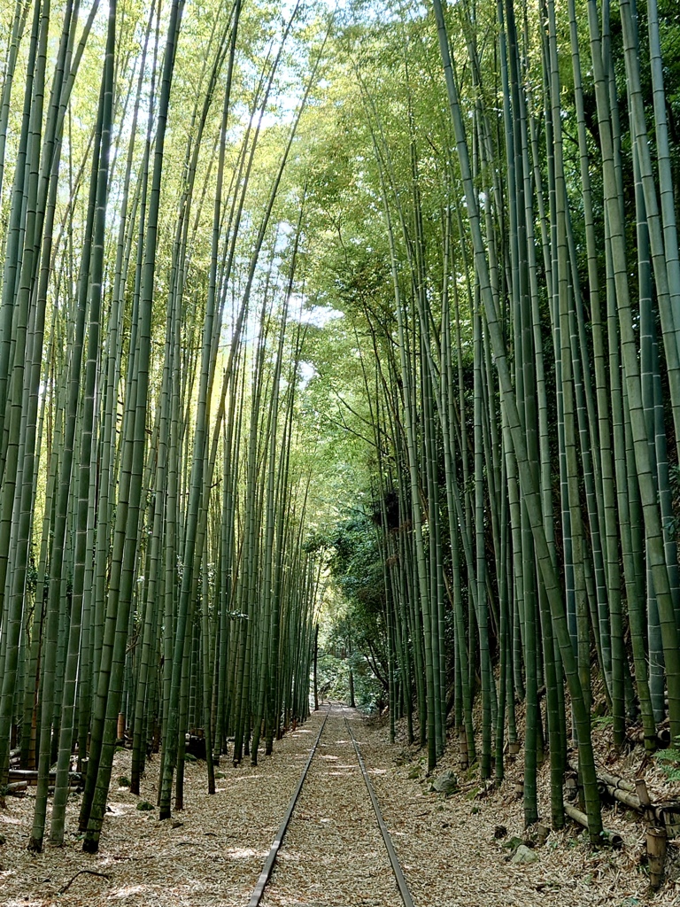 旧国鉄倉吉線廃線跡