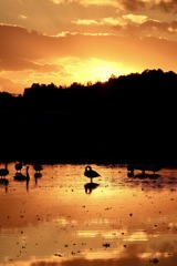 マジックアワー