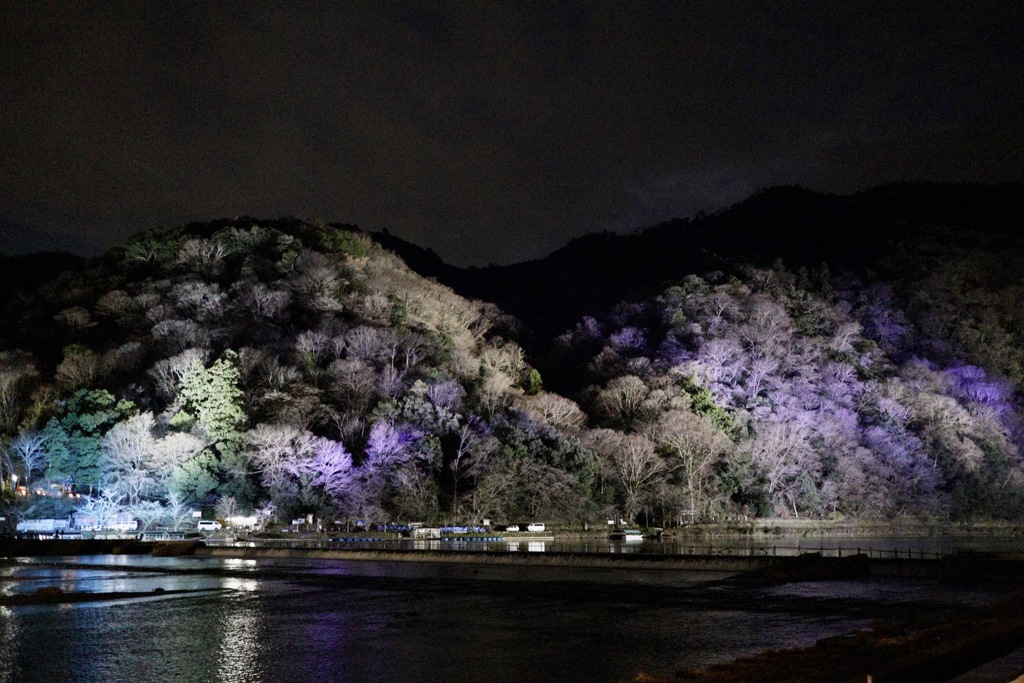 嵐山花灯路