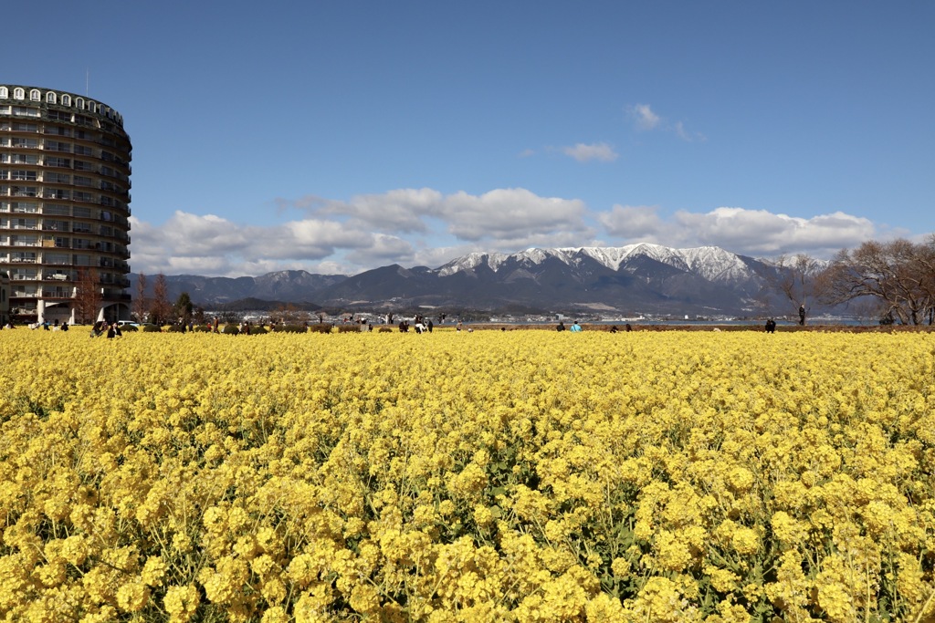 琵琶湖なぎさ公園