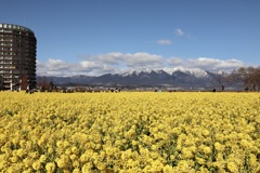 琵琶湖なぎさ公園
