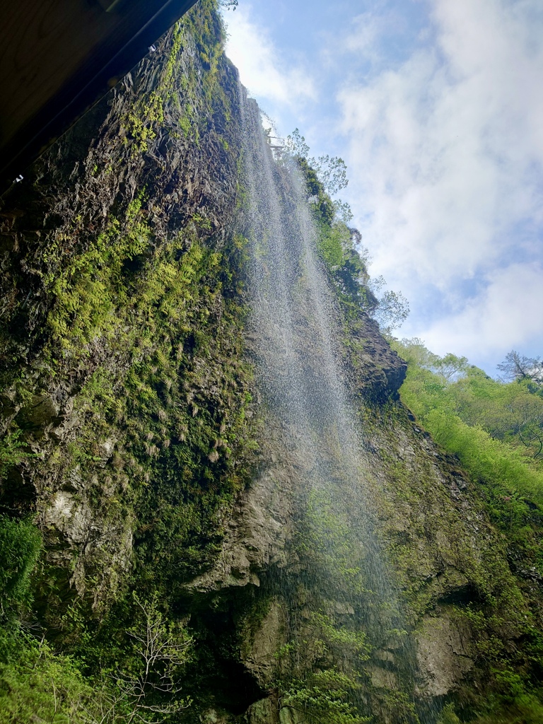 隠岐の島