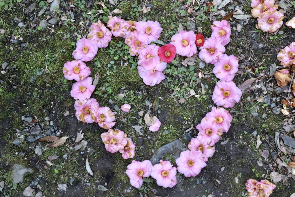 京都府立植物園