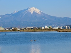 米子水鳥公園