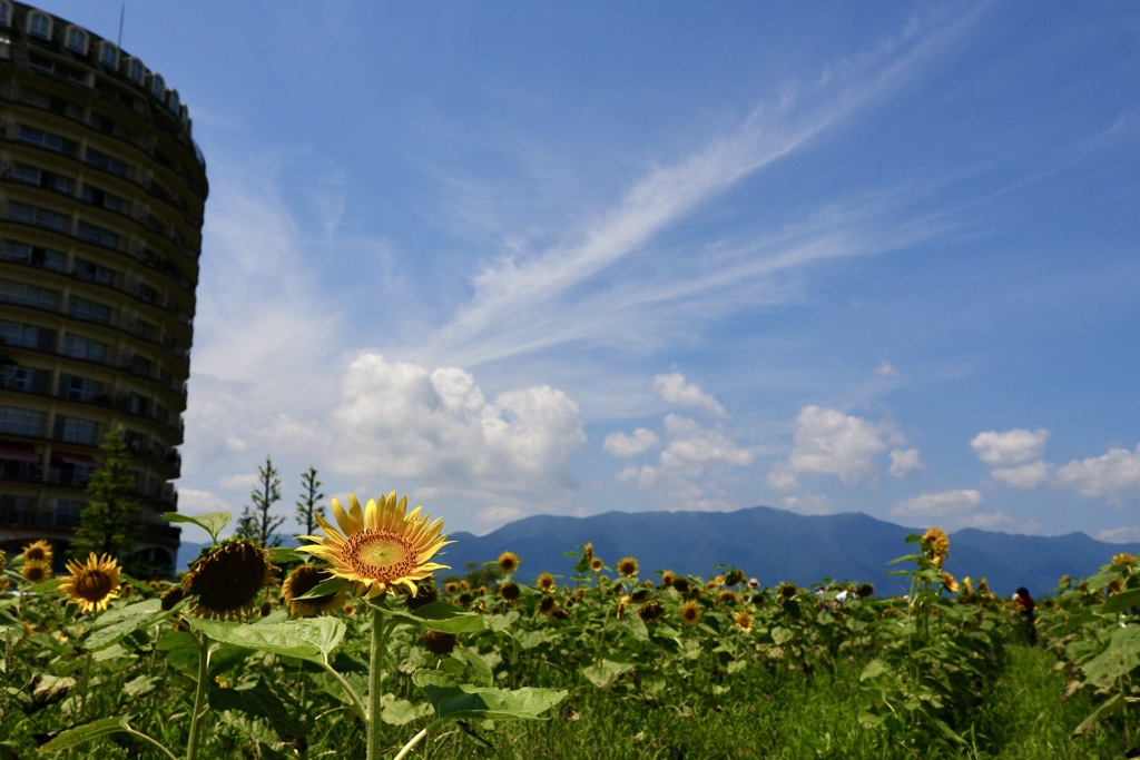 守山なぎさ公園