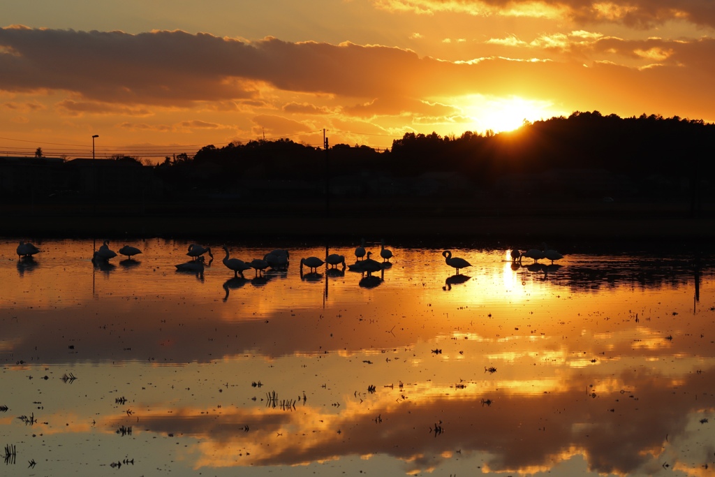 マジックアワー