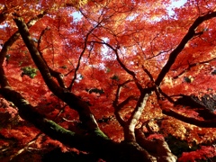 田原神社