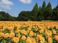 世羅高原農場