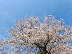 松江城