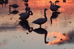 マジックアワー