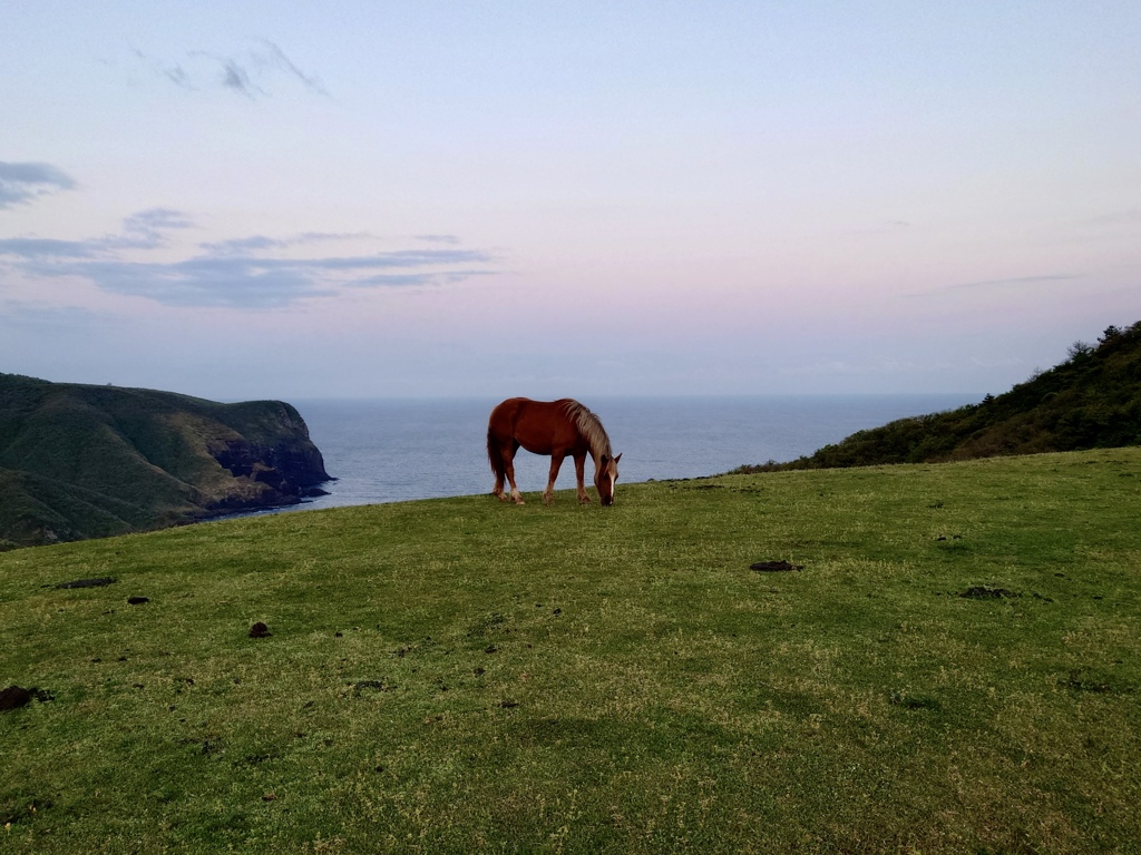 隠岐の島