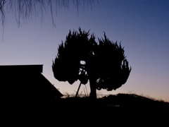 夕暮れ