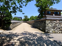 萩