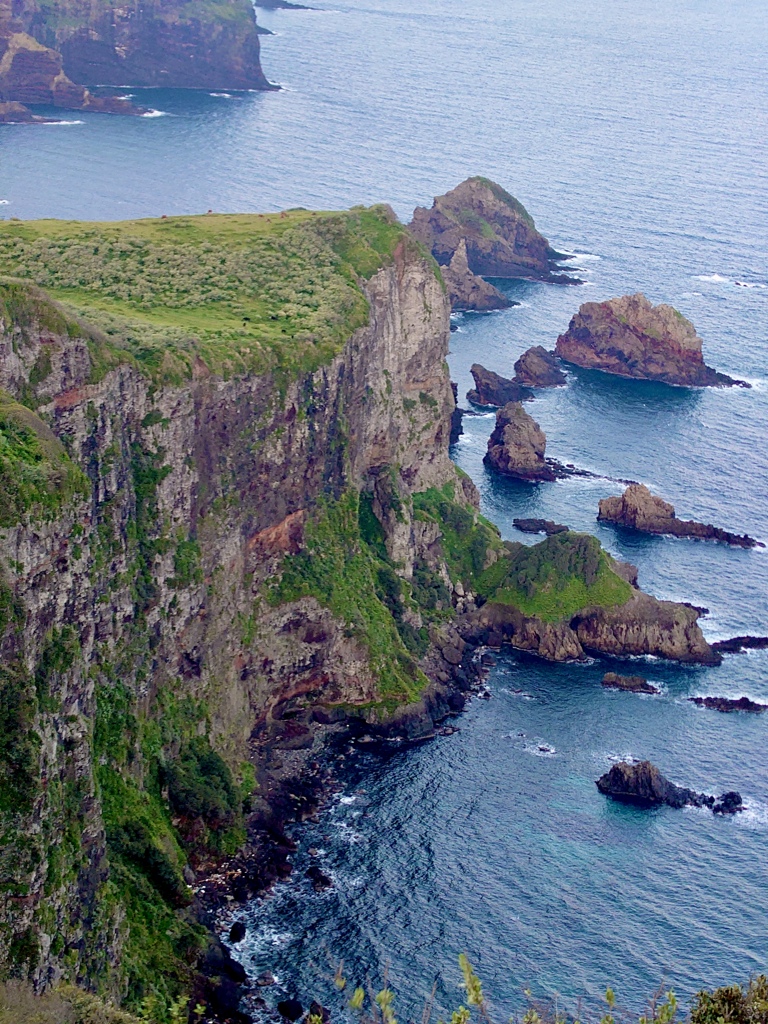 隠岐の島