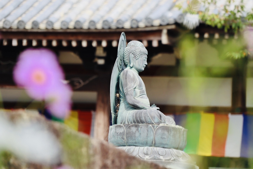 般若寺／コスモス寺３