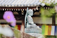 般若寺／コスモス寺３