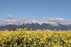 琵琶湖なぎさ公園