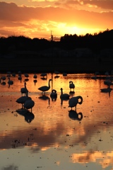 マジックアワー