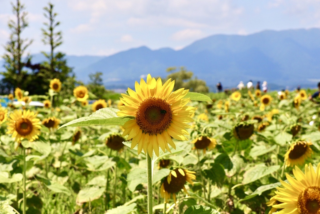守山なぎさ公園