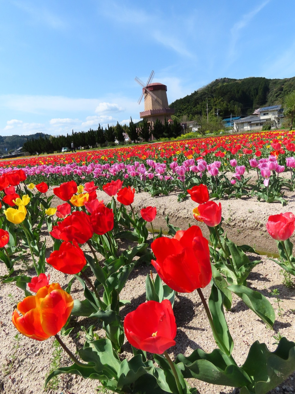 安来 伯太町