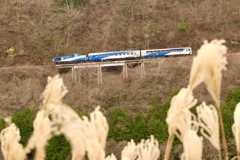 奥出雲おろち号