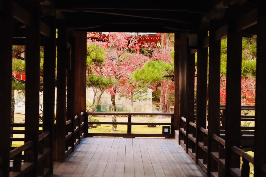 大覚寺、祇王寺1