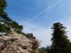 松江城
