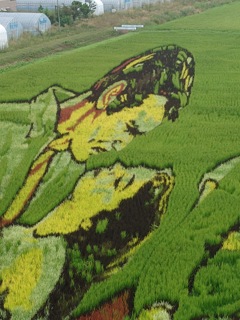 田舎館