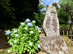 月照寺