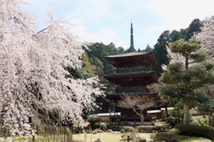 徳源院