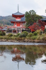 大覚寺、祇王寺4