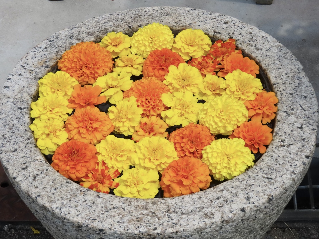 花夢の里