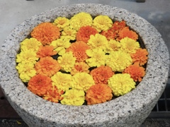 花夢の里
